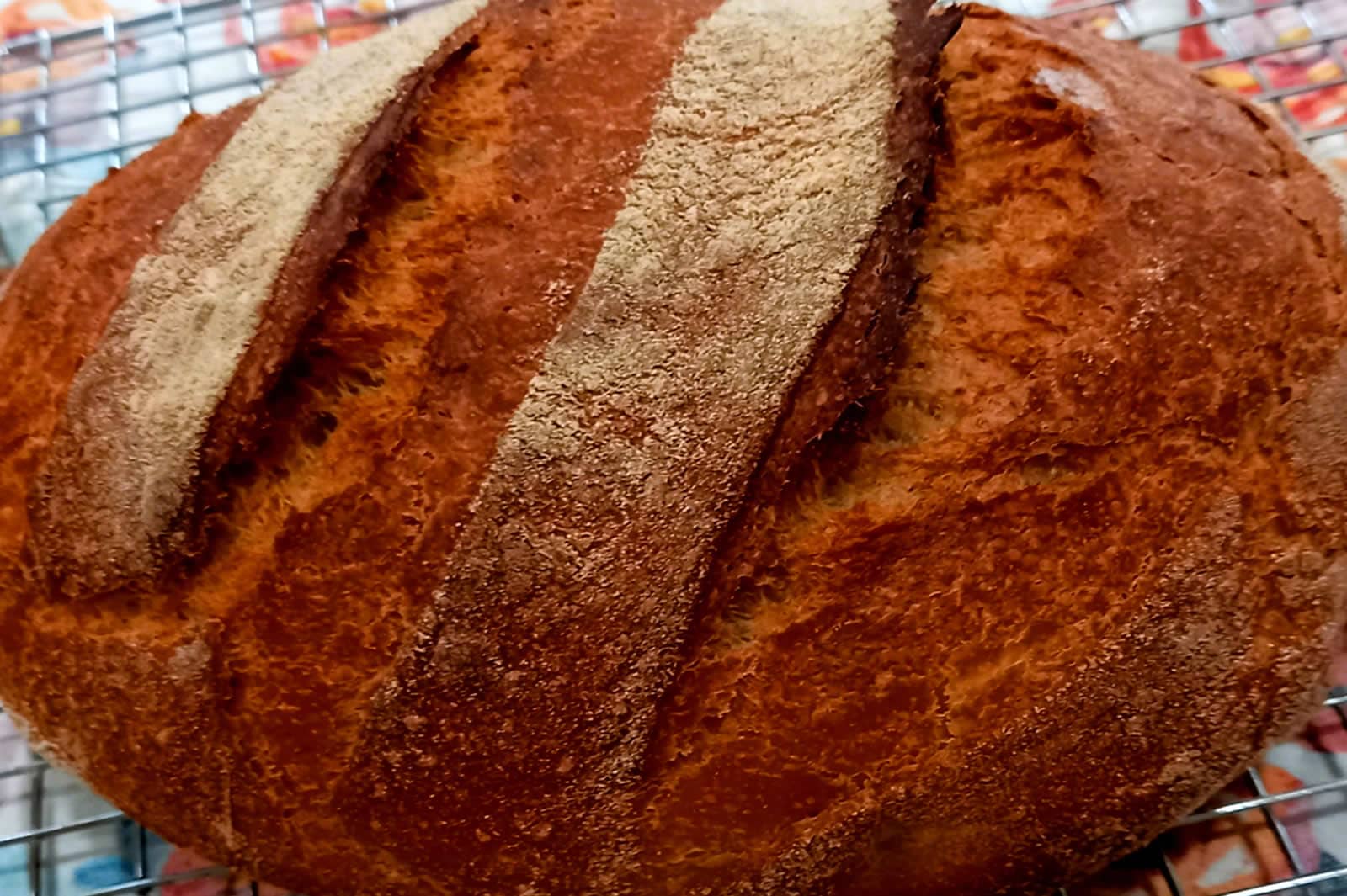Whole_Wheat_Bread Papas Bread - Homemade Bread baked in Cumming
